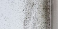 Kennilworth Mold Remediation