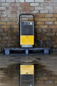 5 Ways to Minimize Moisture in Your Basement