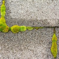 Reasons to Keep Your Roof Clean
