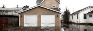Beware of Mold Following a Flood