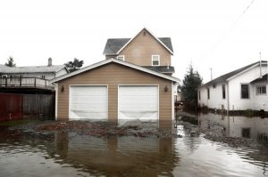 Beware of Mold Following a Flood