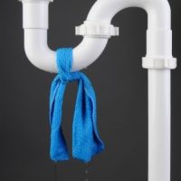 Common Causes of Household Mold