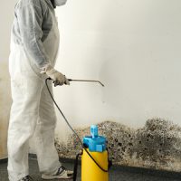 How Can Mold Affect Your Home's Resale Value?
