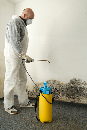 Middlesex County Basement Mold Removal