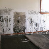 Winfield Mold Remediation