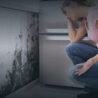 Mountainside Mold Remediation