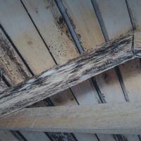 Clark Mold Remediation