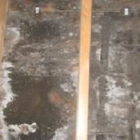 Summit Mold Remediation