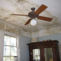 Middlesex County Mold Consulting