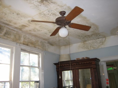 Middlesex County Mold Consulting