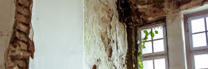Hudson County Mold Removal