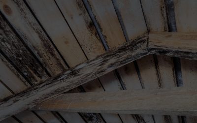 Hudson County Attic Mold