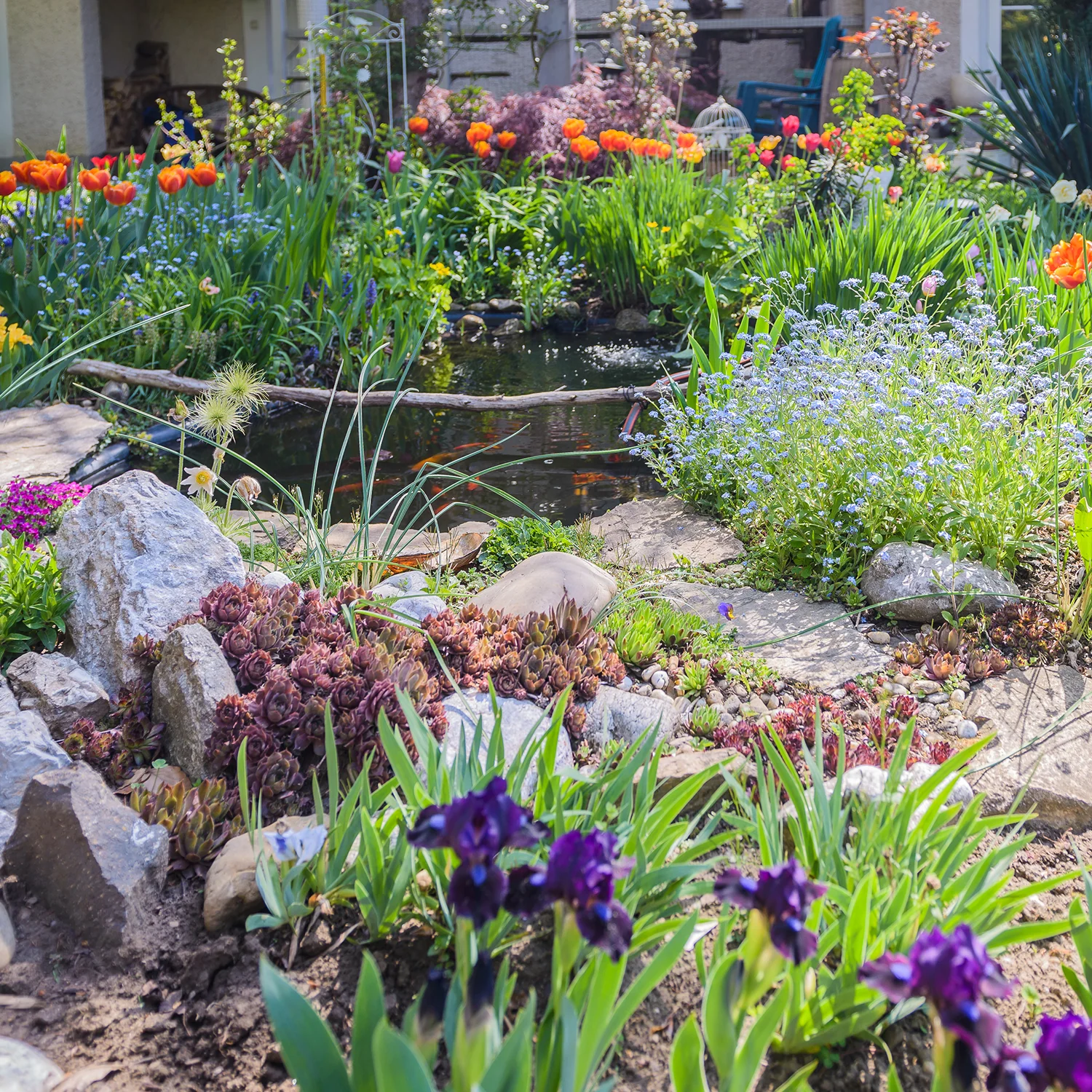 Putting Gardens in Hardscape